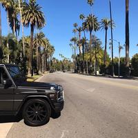 Отзыв от Денис - DTV виза